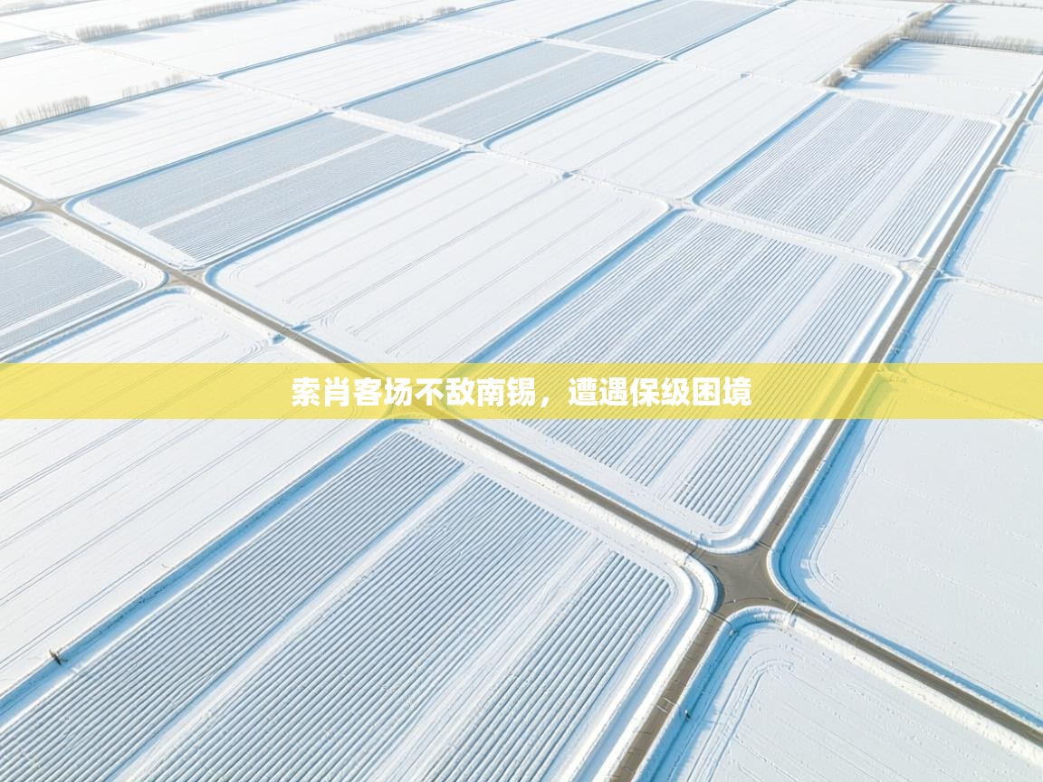 索肖客场不敌南锡，遭遇保级困境