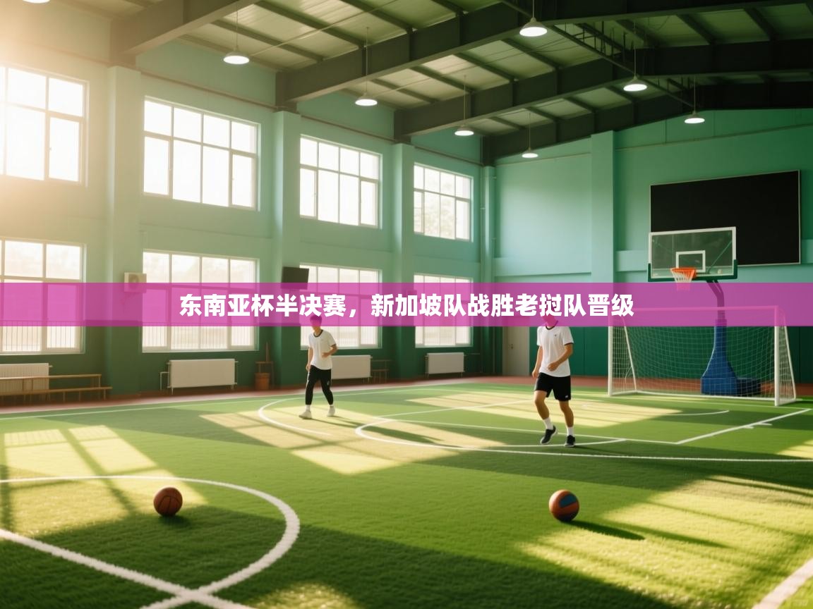 东南亚杯半决赛，新加坡队战胜老挝队晋级